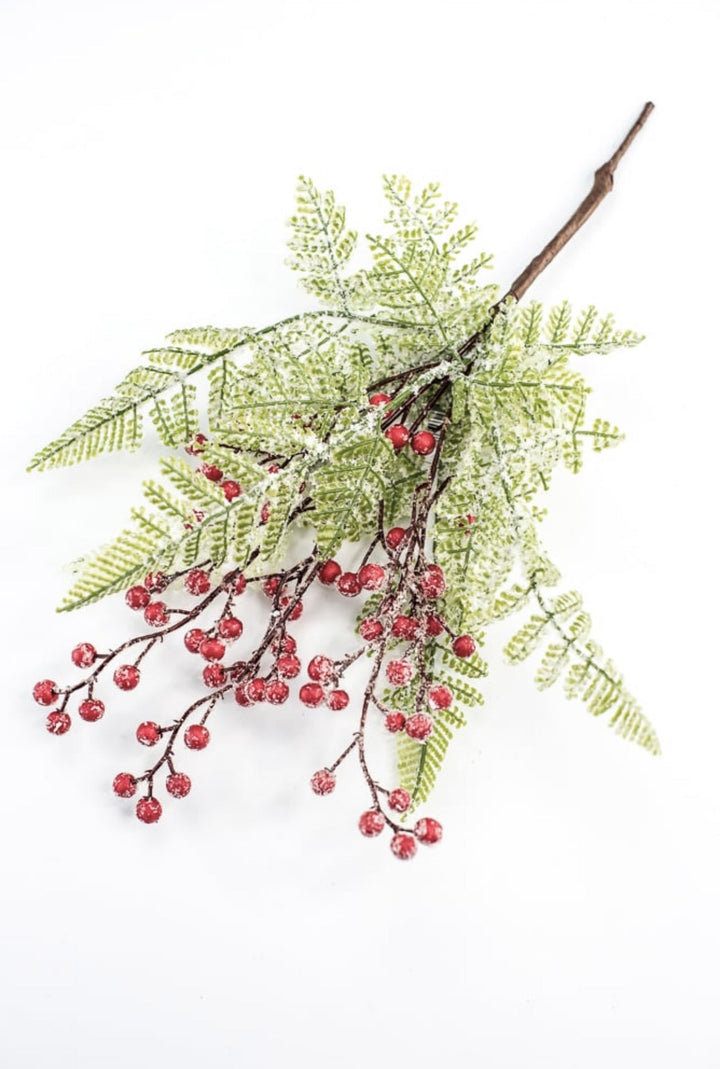 Frosted, fern and berries bush - Greenery Market216374