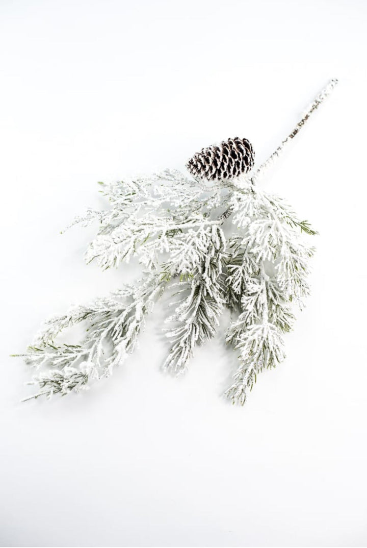 Frosted mixed pine pick - Greenery Marketgreenery27983