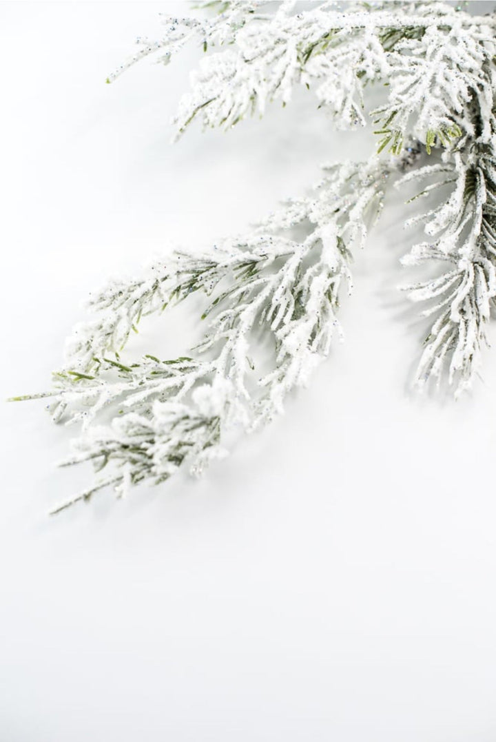 Frosted mixed pine pick - Greenery Marketgreenery27983