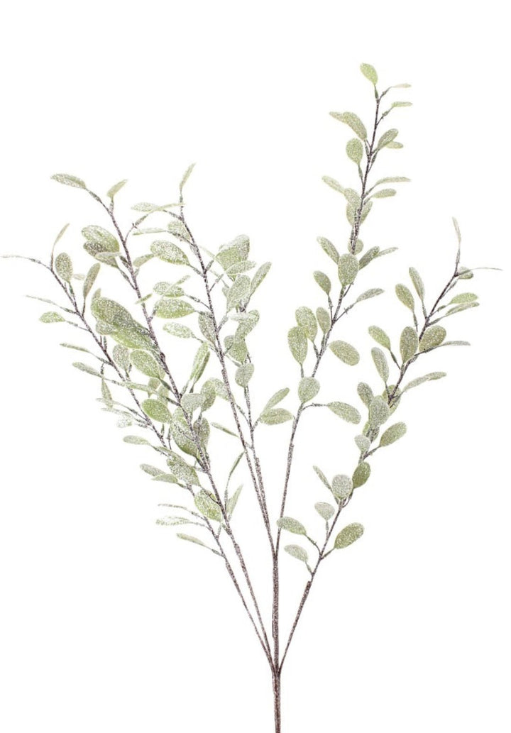 Frosted myrtle bush - Greenery Market270635