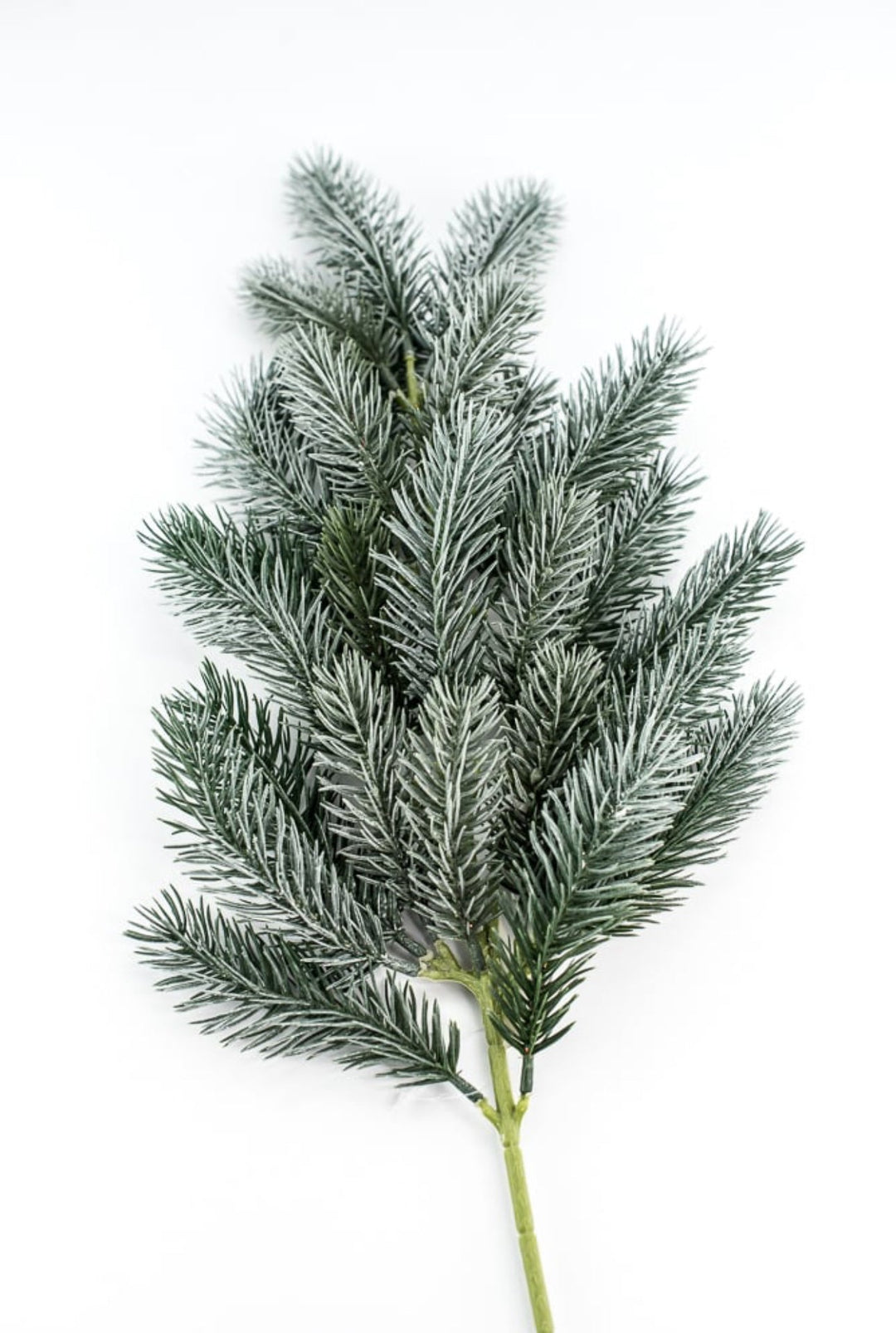 Frosted Pine spray - Greenery MarketAC3036