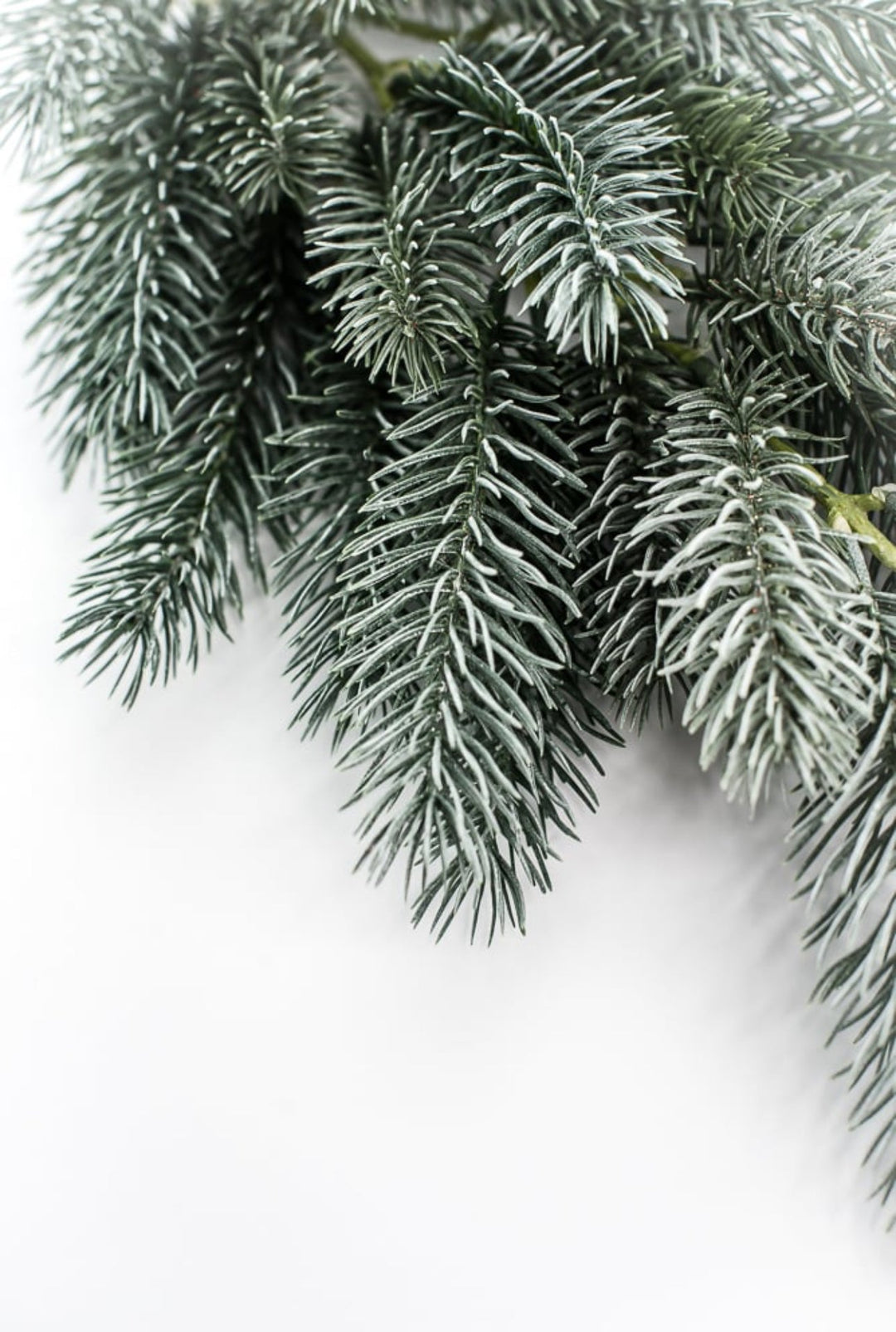 Frosted Pine spray - Greenery MarketAC3036