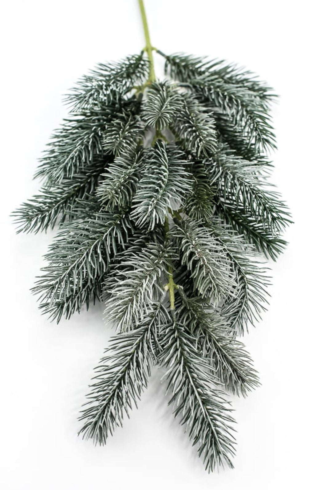 Frosted Pine spray - Greenery MarketAC3036