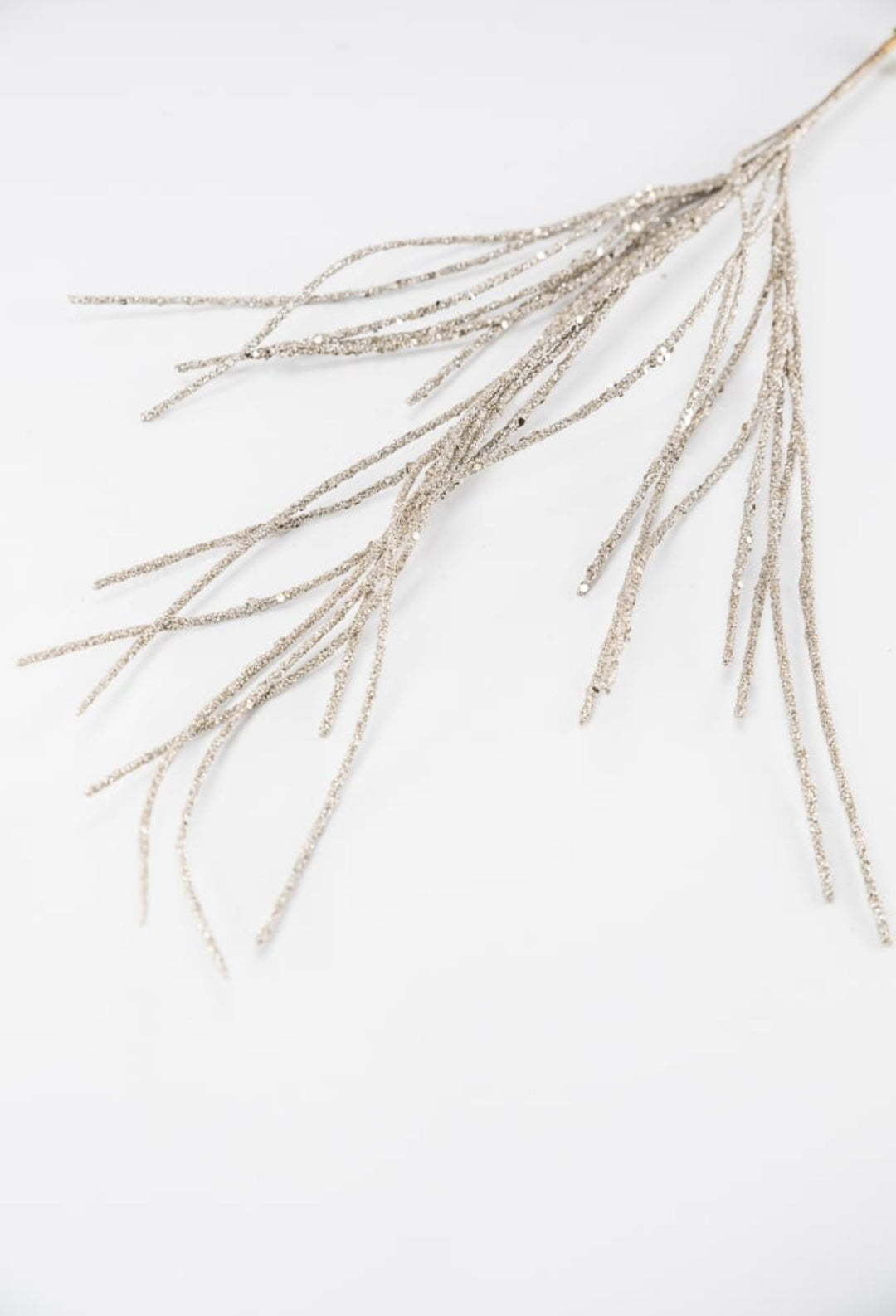 Glitter twig spray - champagne - Greenery MarketSeasonal & Holiday Decorations85717ch