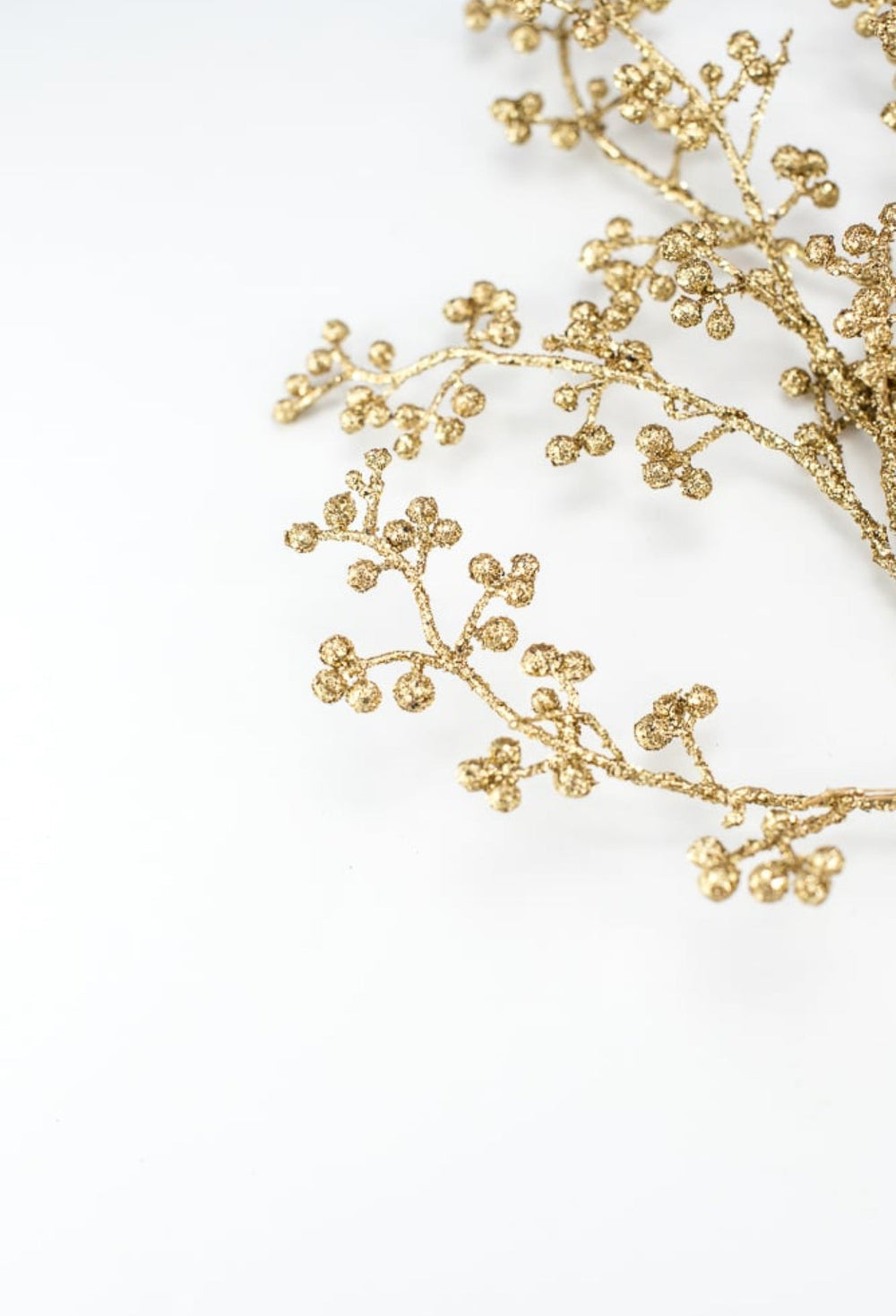 Gold glittered Seed spray - Greenery MarketXg447 - go