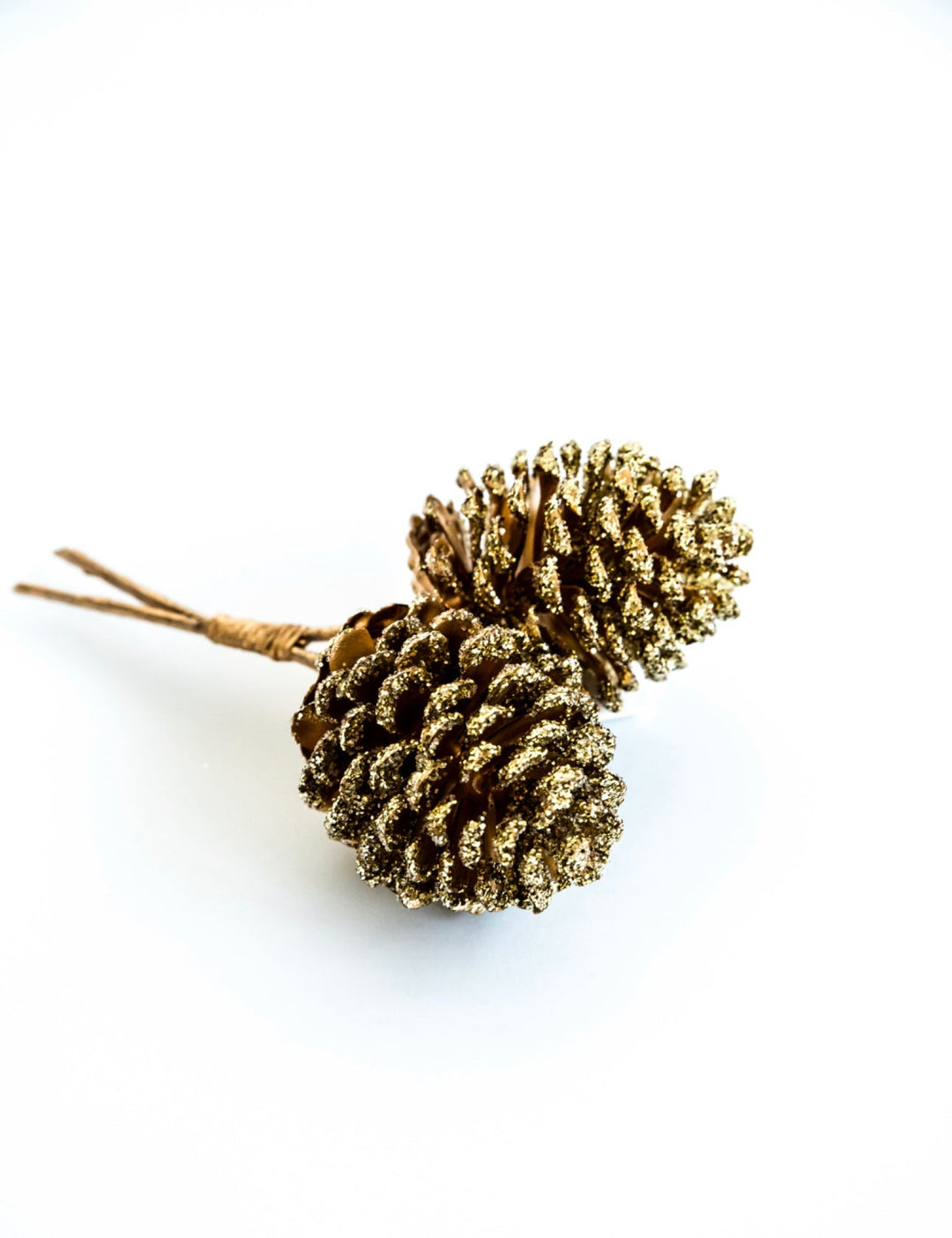 Gold Pinecones pick - Greenery MarketPicksXD688
