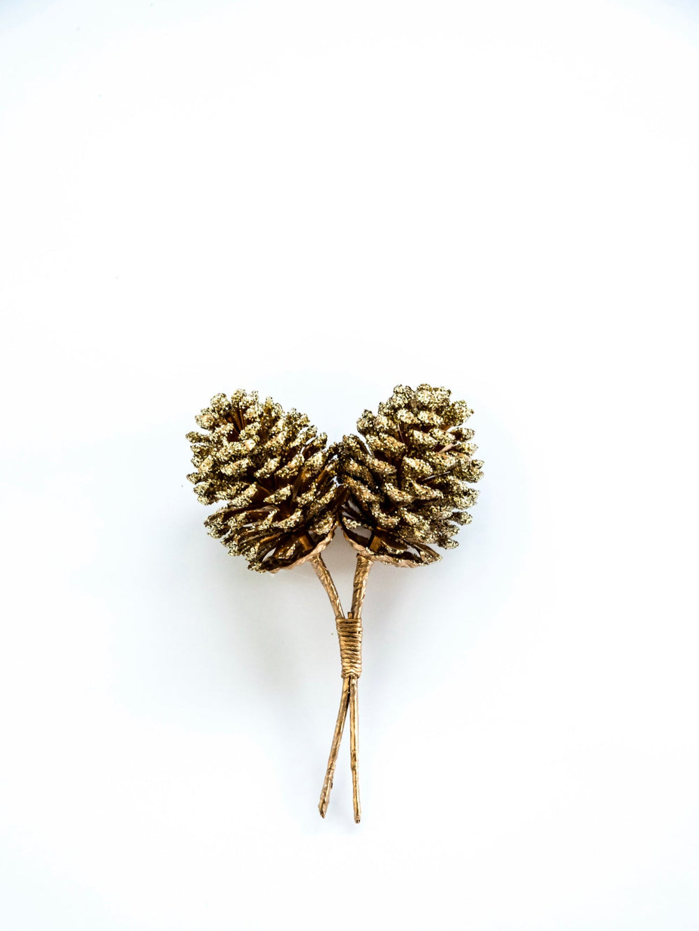 Gold Pinecones pick - Greenery MarketPicksXD688