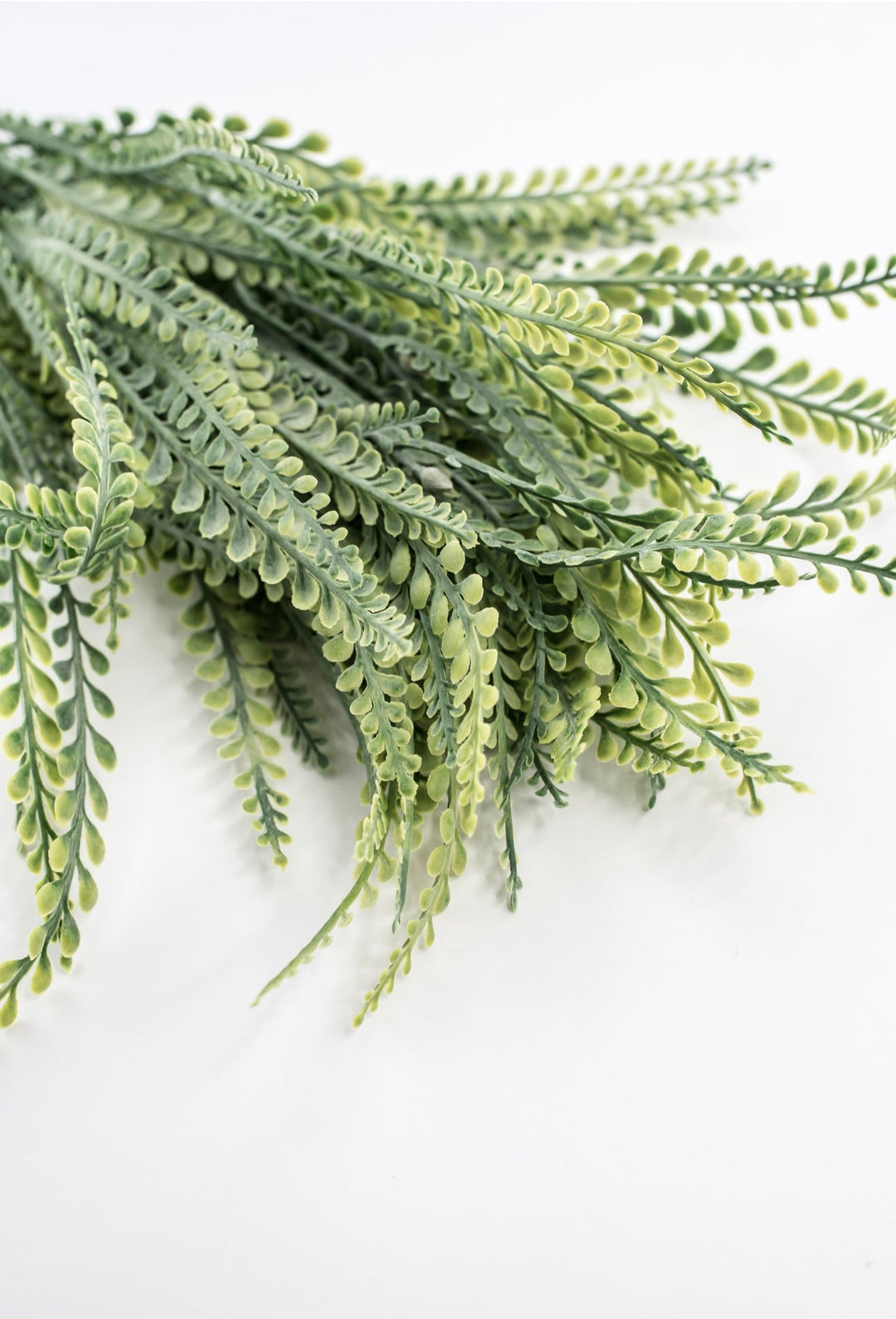 Gray Green frosted Dentate leaf bush, artificial fern - Greenery Marketgreenery80398