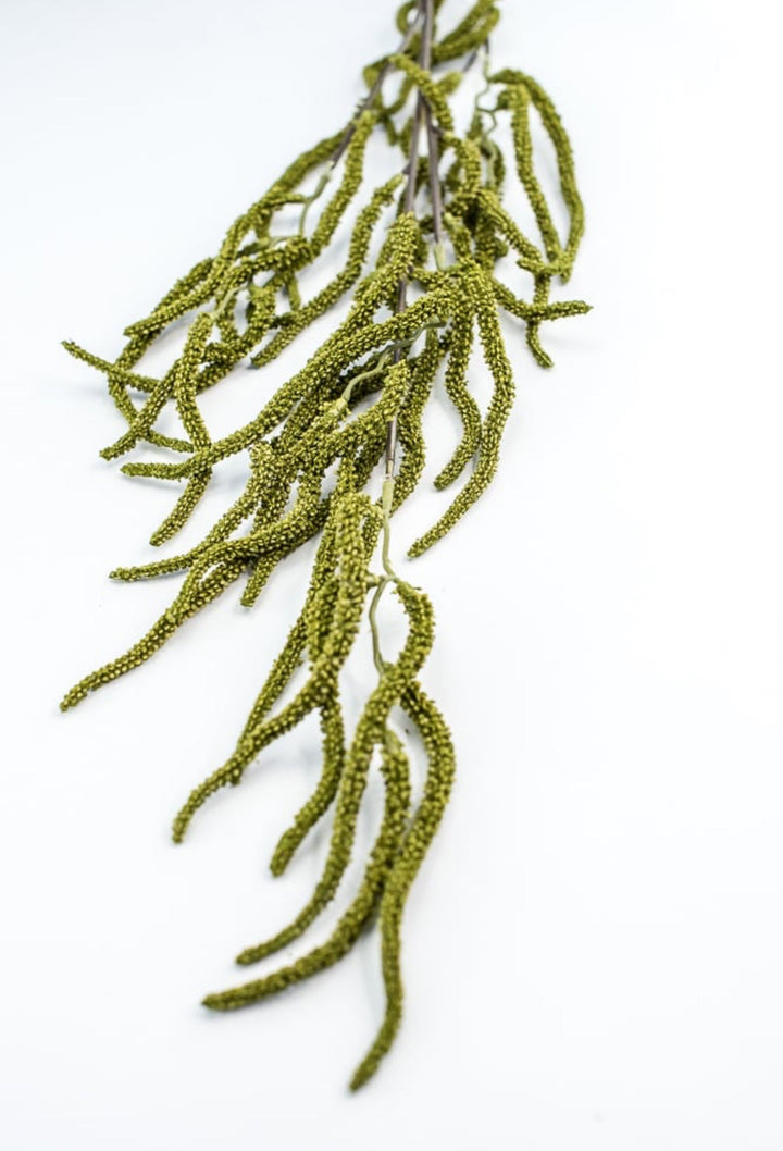 Green Amaranthus Branch - Greenery Market250754