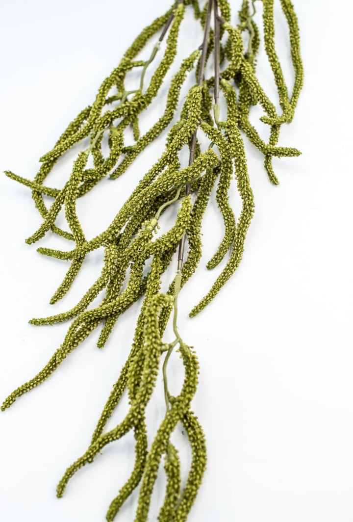Green Amaranthus Branch - Greenery Market250754