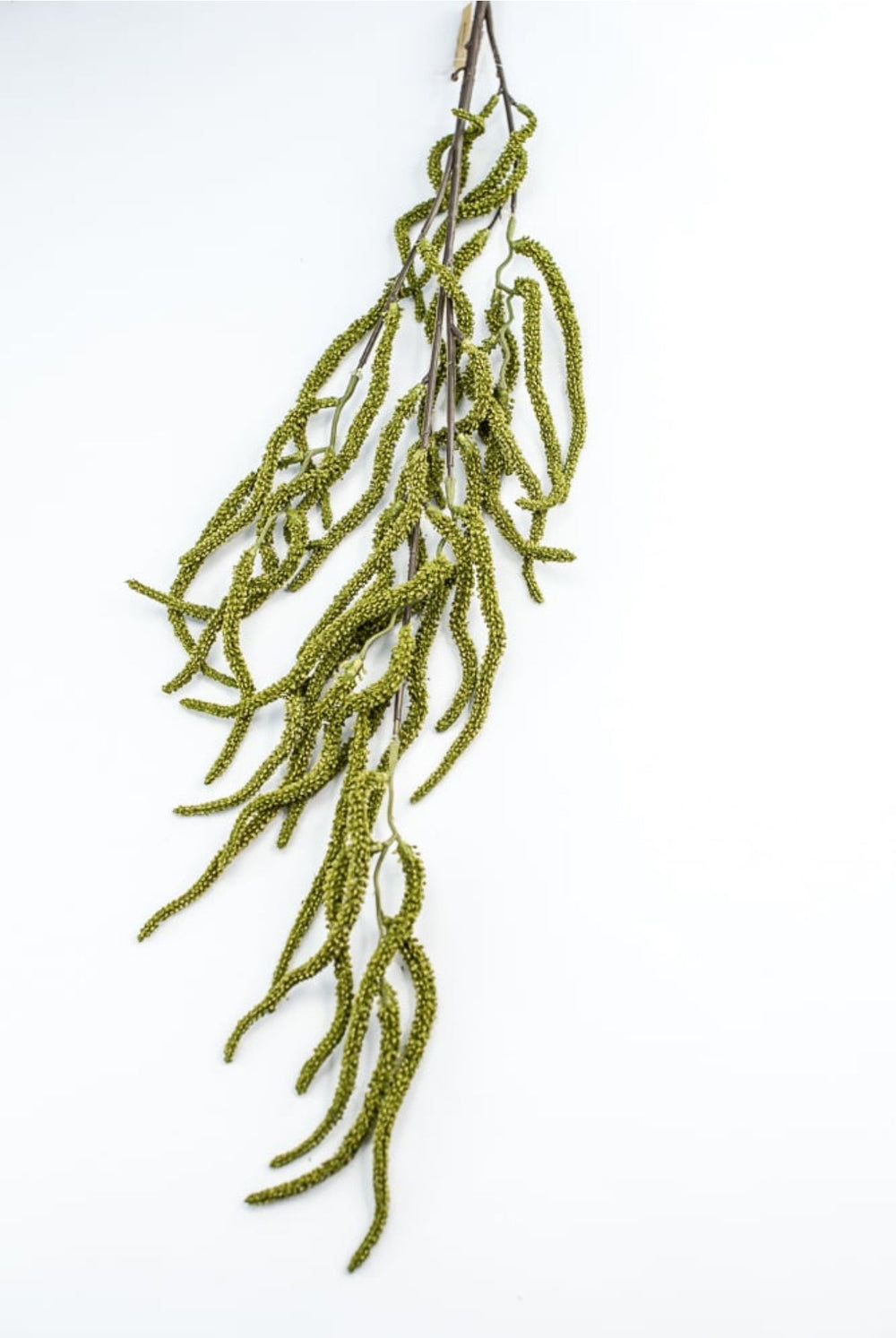Green Amaranthus Branch - Greenery Market250754