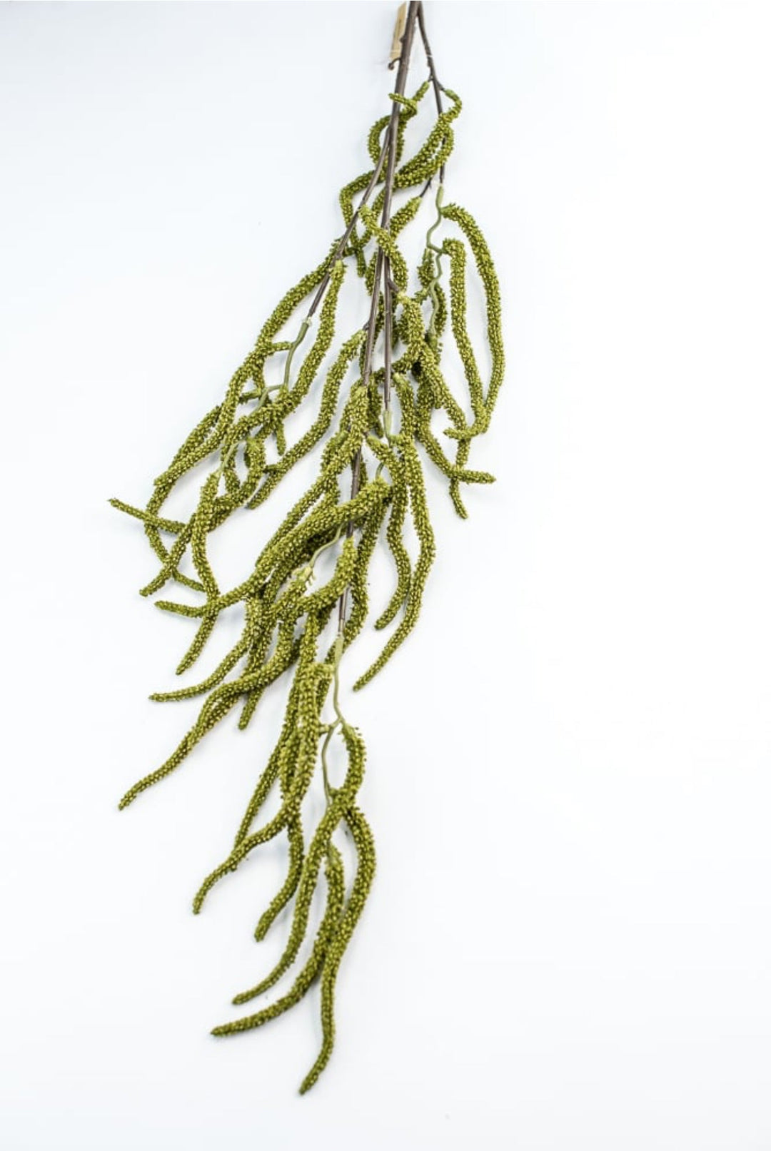 Green Amaranthus Branch - Greenery Market250754
