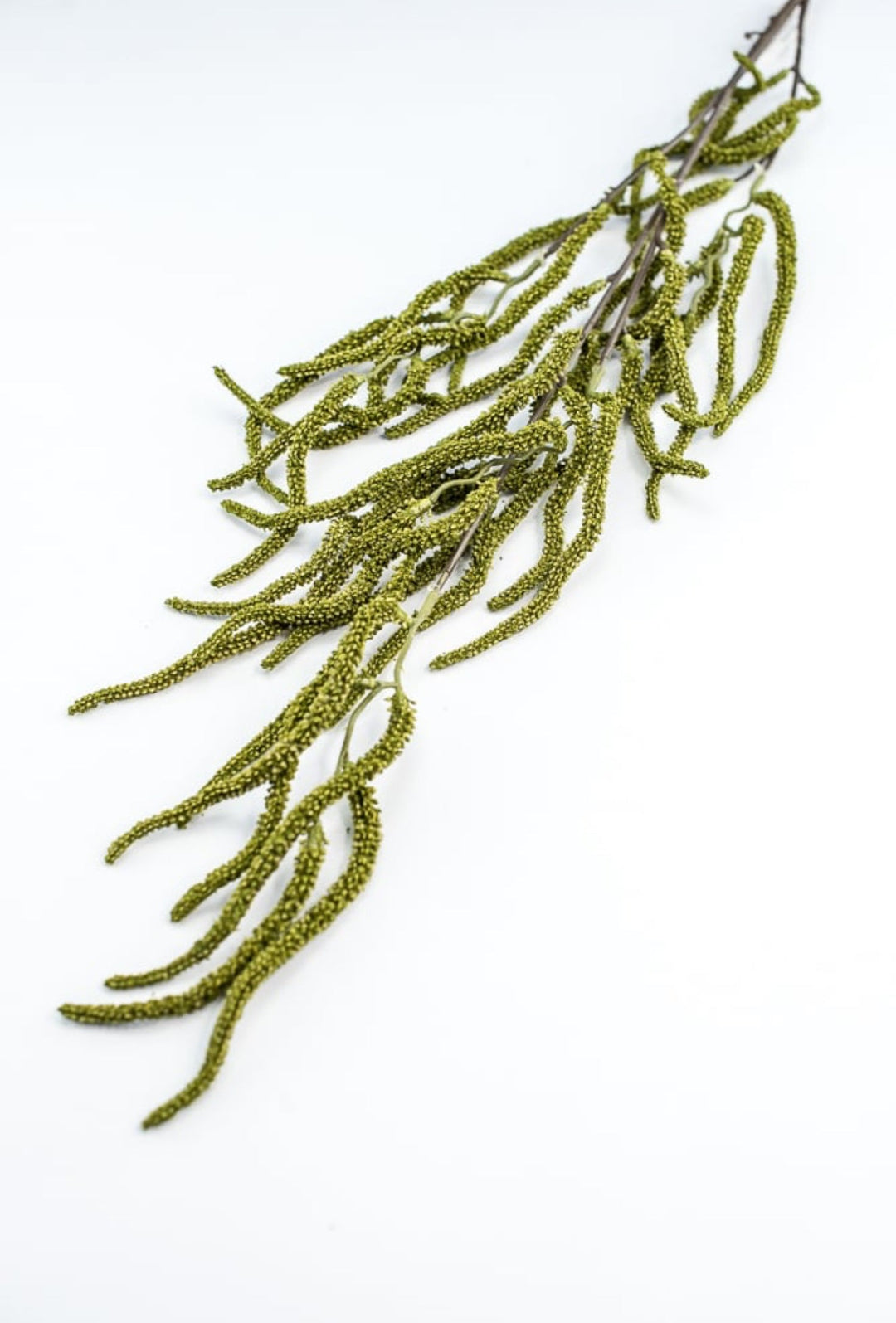 Green Amaranthus Branch - Greenery Market250754