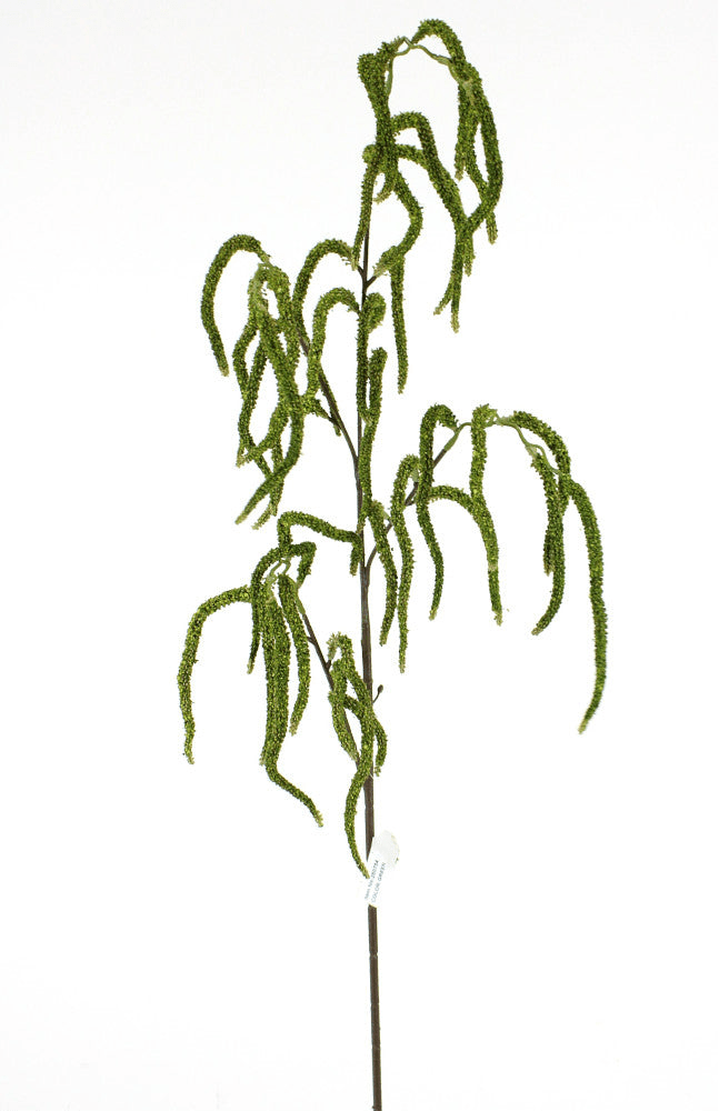 Green Amaranthus Branch - Greenery Market250754