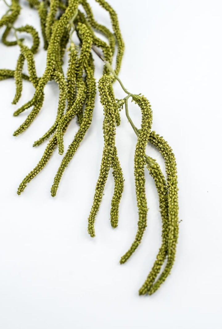 Green Amaranthus Branch - Greenery Market250754