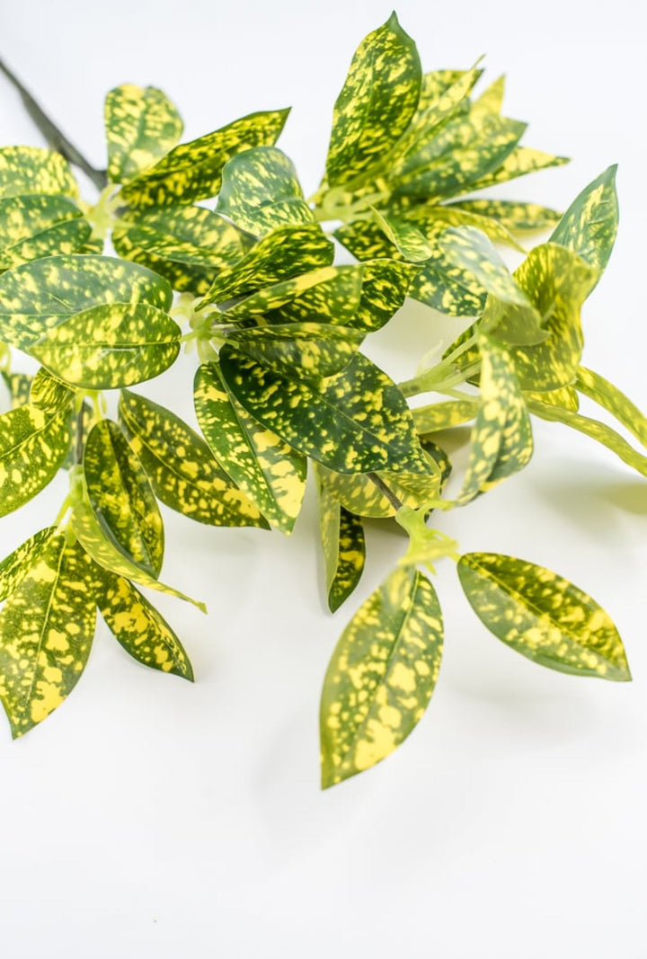 Green And Yellow Acuta Leaf Spray - Greenery Market220312