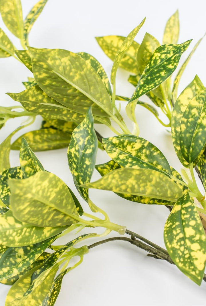 Green And Yellow Acuta Leaf Spray - Greenery Market220312