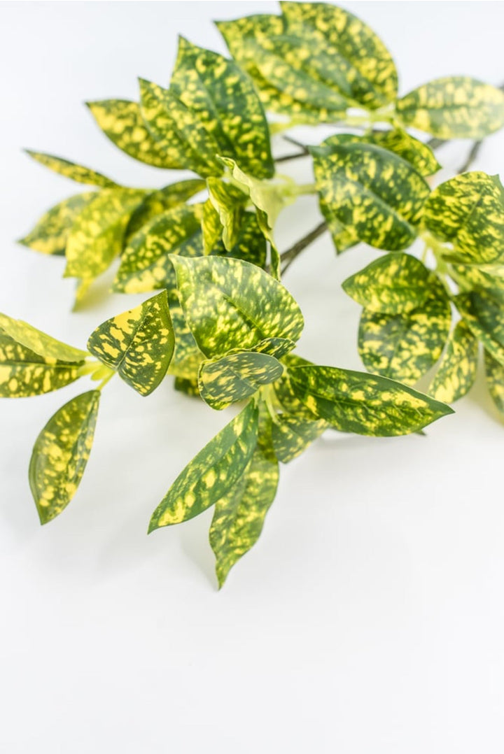 Green And Yellow Acuta Leaf Spray - Greenery Market220312