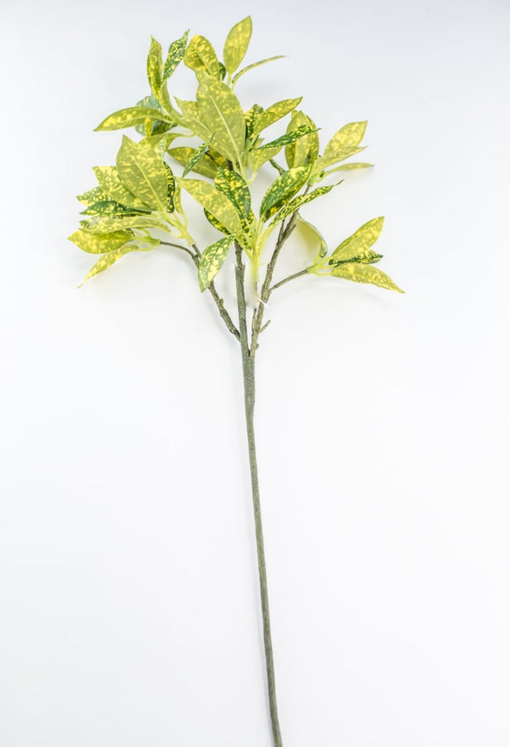Green And Yellow Acuta Leaf Spray - Greenery Market220312