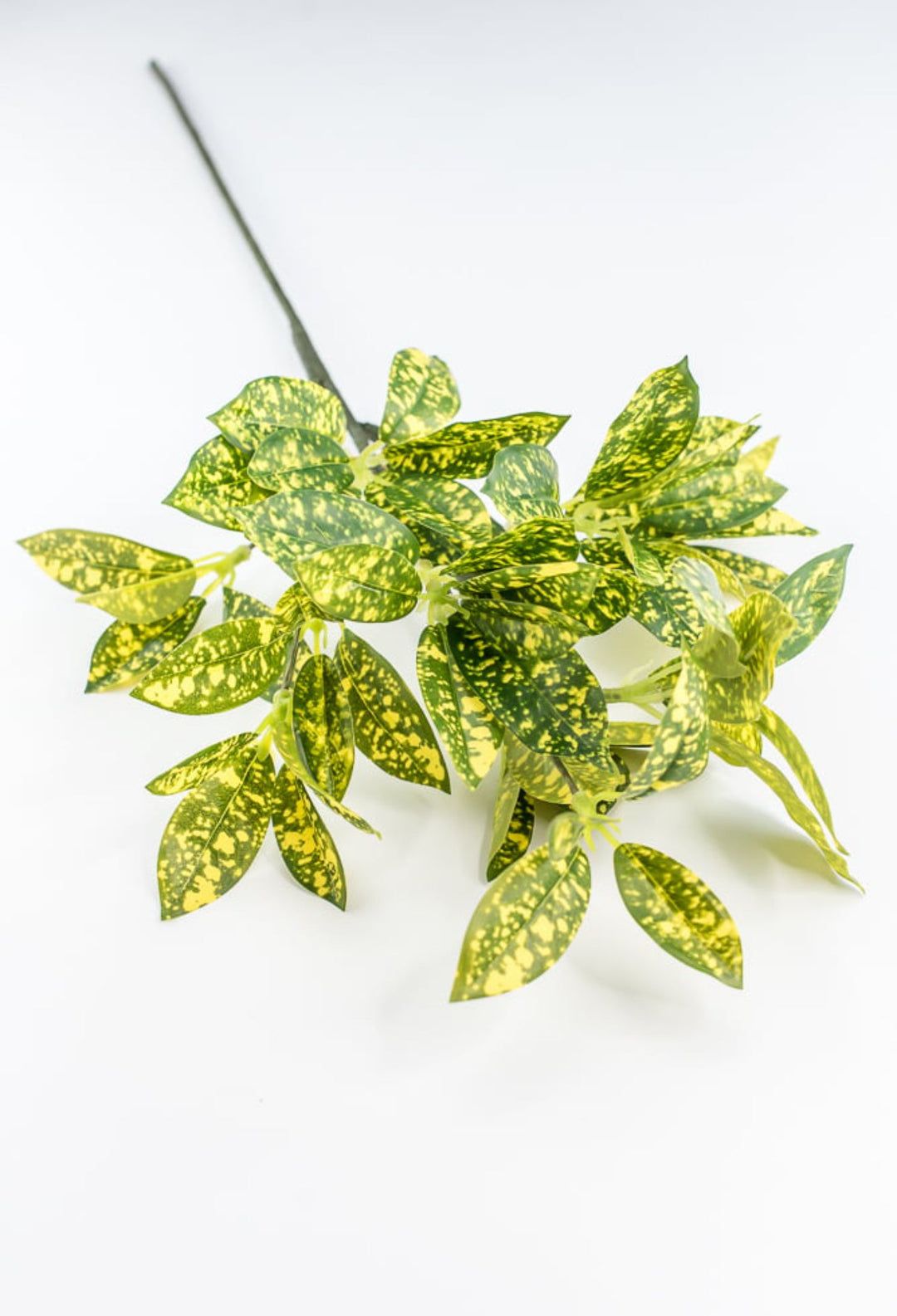 Green And Yellow Acuta Leaf Spray - Greenery Market220312