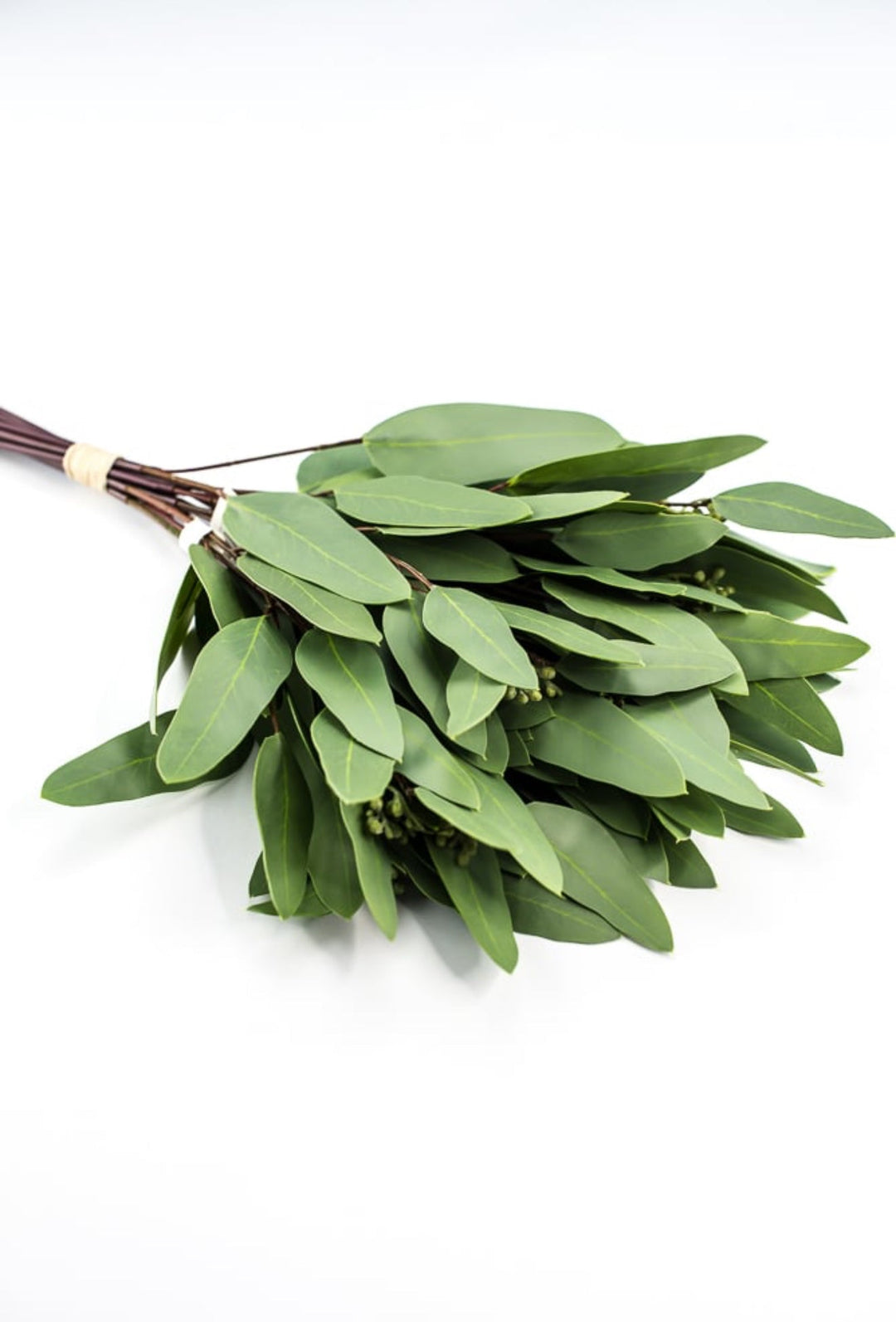 Green, artificial, real touch, life like eucalyptus bundle - Greenery MarketArtificial Flora2313001GR