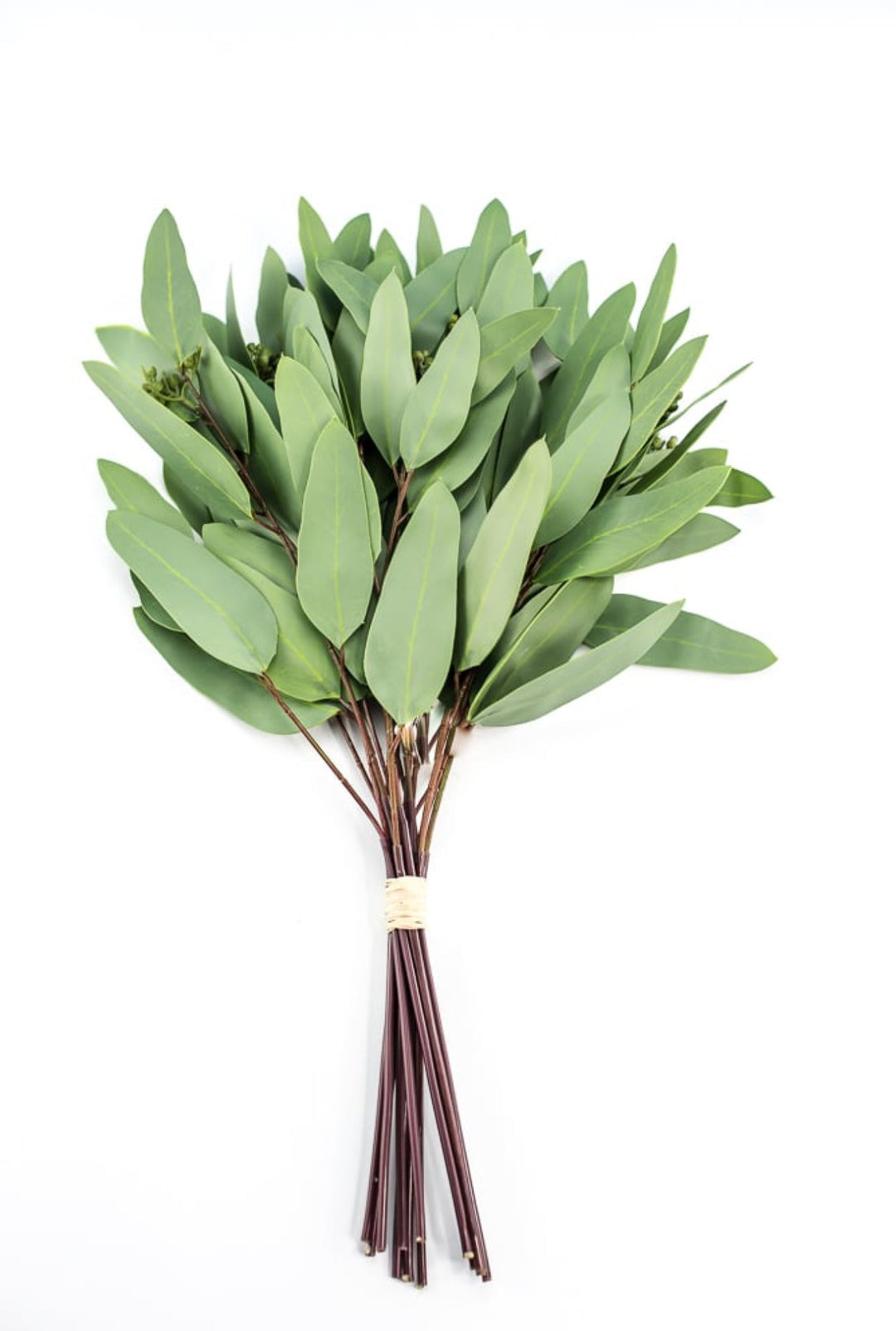 Green, artificial, real touch, life like eucalyptus bundle - Greenery MarketArtificial Flora2313001GR