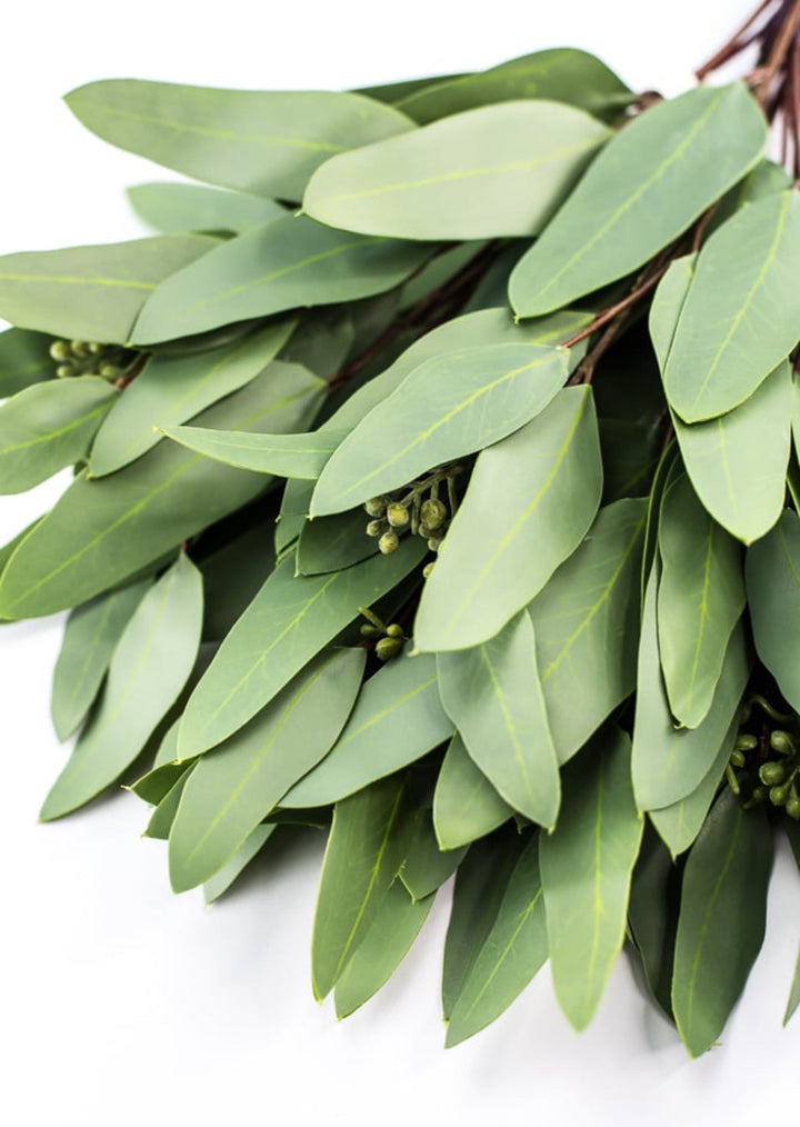 Green, artificial, real touch, life like eucalyptus bundle - Greenery MarketArtificial Flora2313001GR