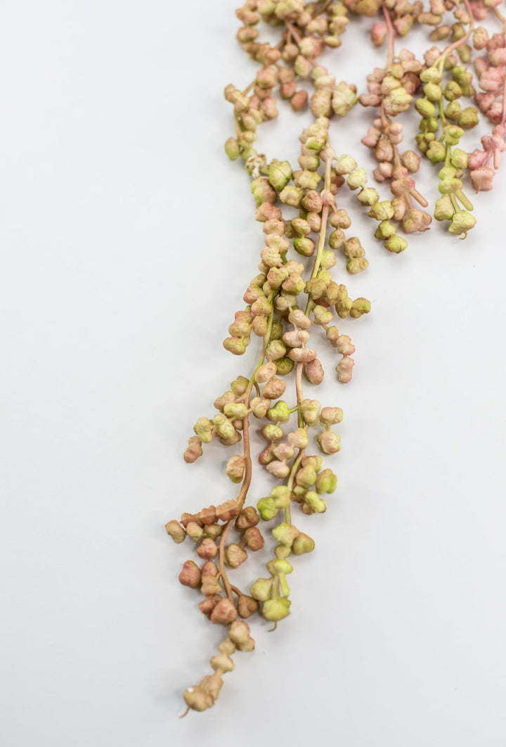Green blush, hanging succulent vine - Greenery MarketArtificial SucculentsMTF22877 BLPK