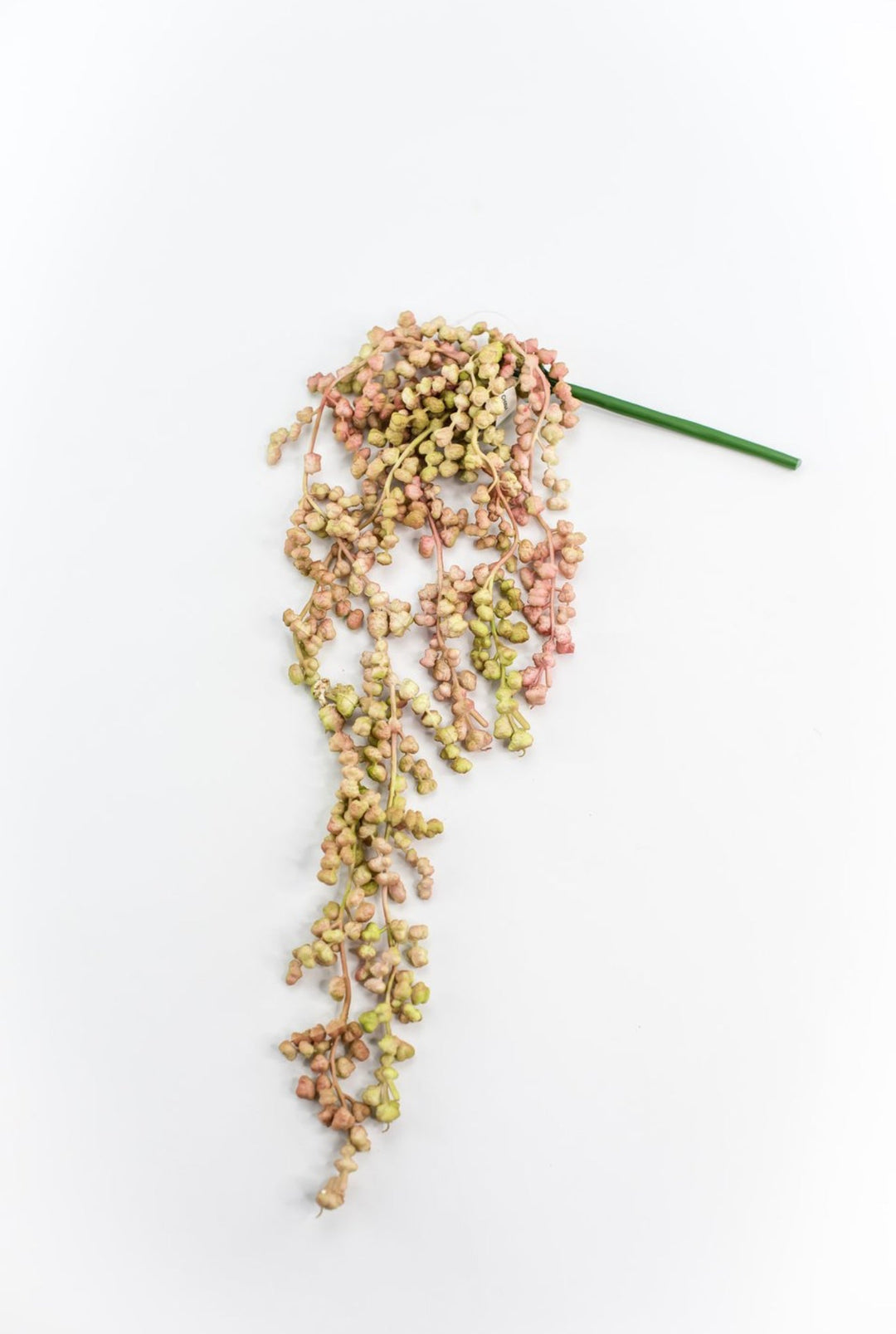 Green blush, hanging succulent vine - Greenery MarketArtificial SucculentsMTF22877 BLPK