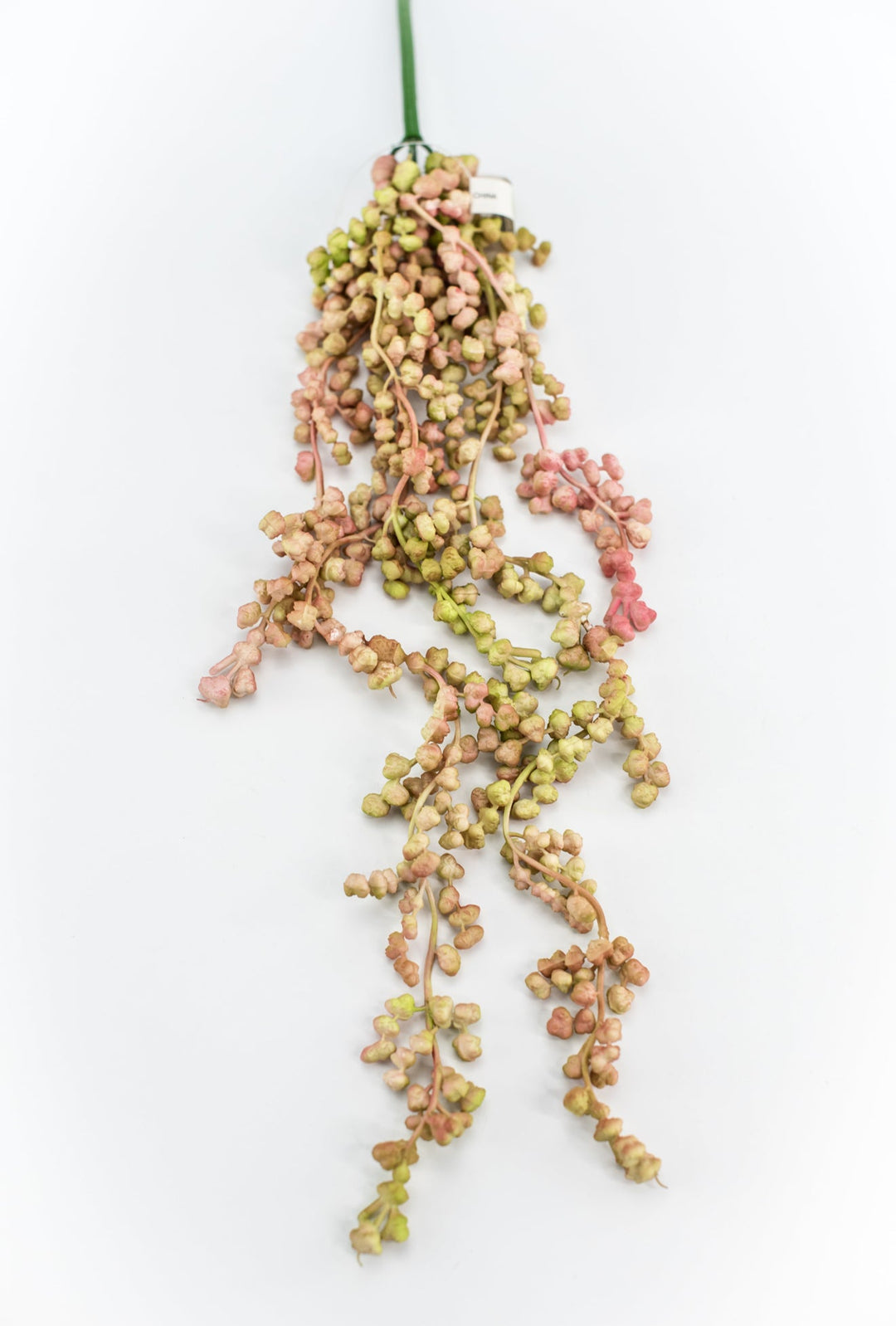 Green blush, hanging succulent vine - Greenery MarketArtificial SucculentsMTF22877 BLPK