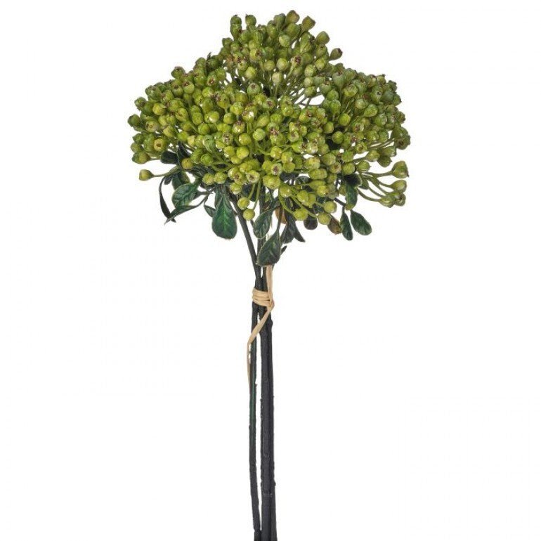 Green, Cottage Berry bundle - Greenery MarketMTF24642 PINK