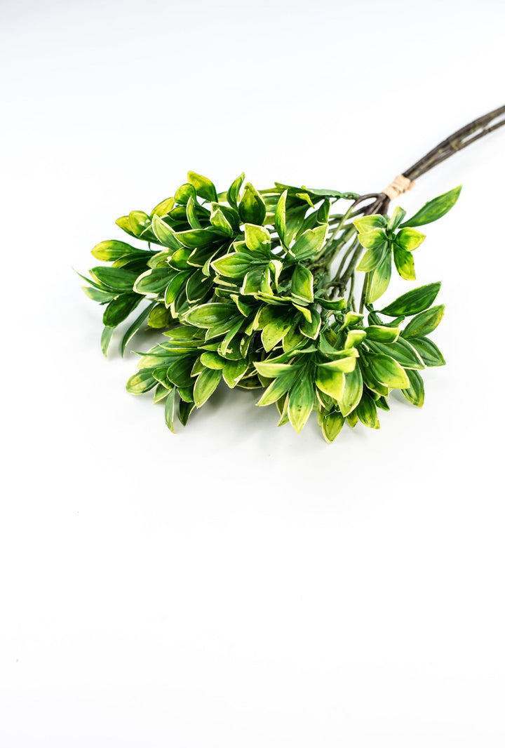 Green cream edge leaves bundle - privet - Greenery Marketgreenery2310424GY