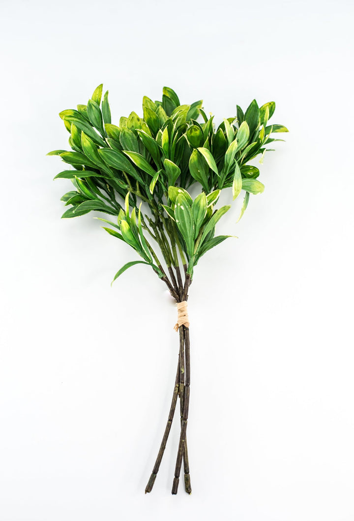 Green cream edge leaves bundle - privet - Greenery Marketgreenery2310424GY