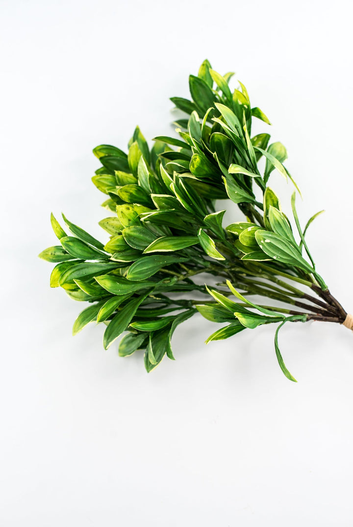 Green cream edge leaves bundle - privet - Greenery Marketgreenery2310424GY