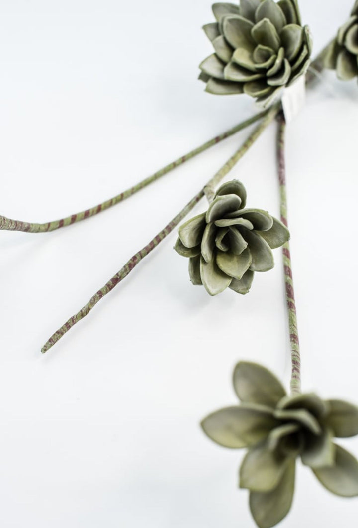 Green Echeveria Hanging - Real Touch - Greenery Market287344