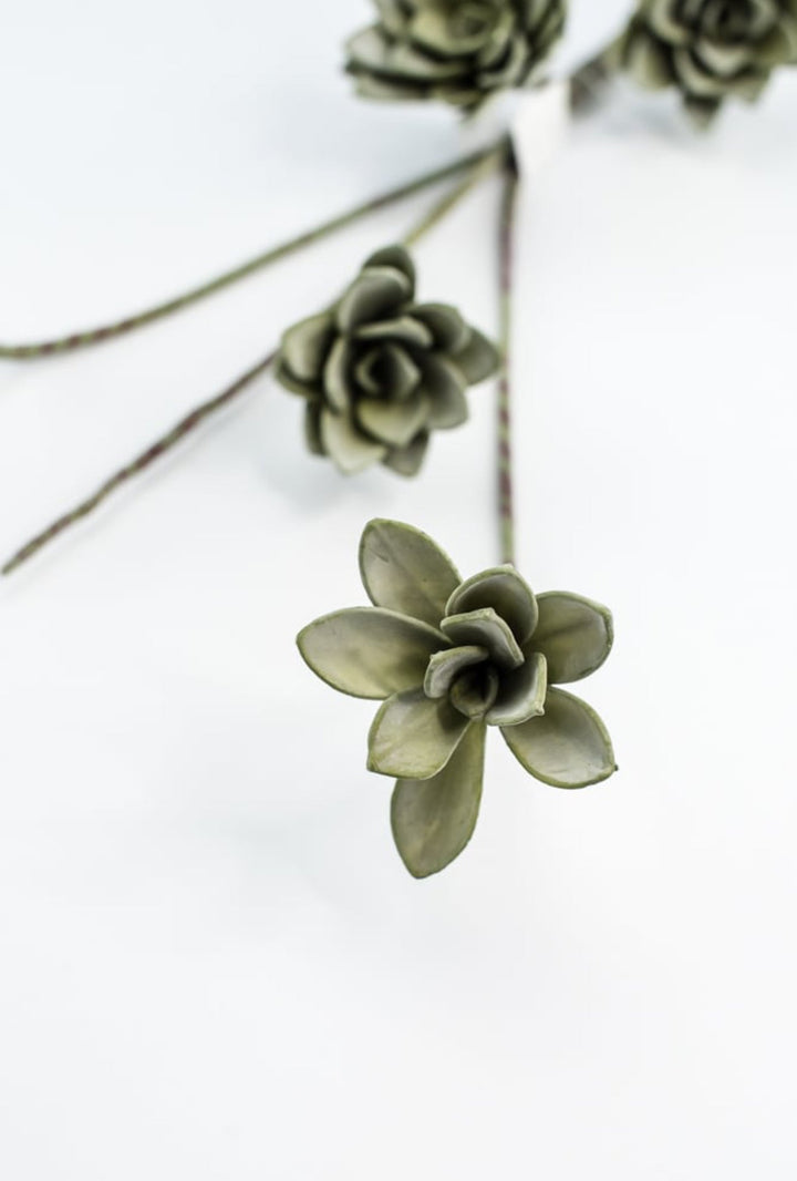 Green Echeveria Hanging - Real Touch - Greenery Market287344