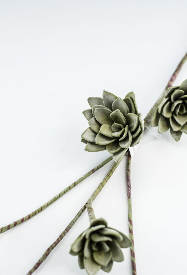Green Echeveria Hanging - Real Touch - Greenery Market287344