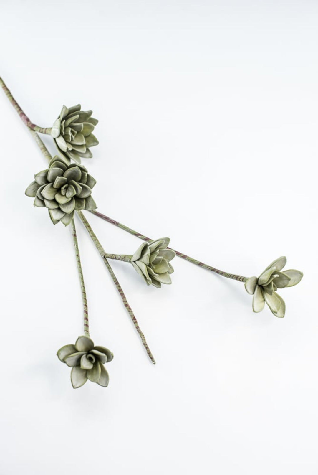 Green Echeveria Hanging - Real Touch - Greenery Market287344