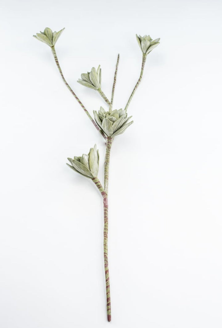 Green Echeveria Hanging - Real Touch - Greenery Market287344