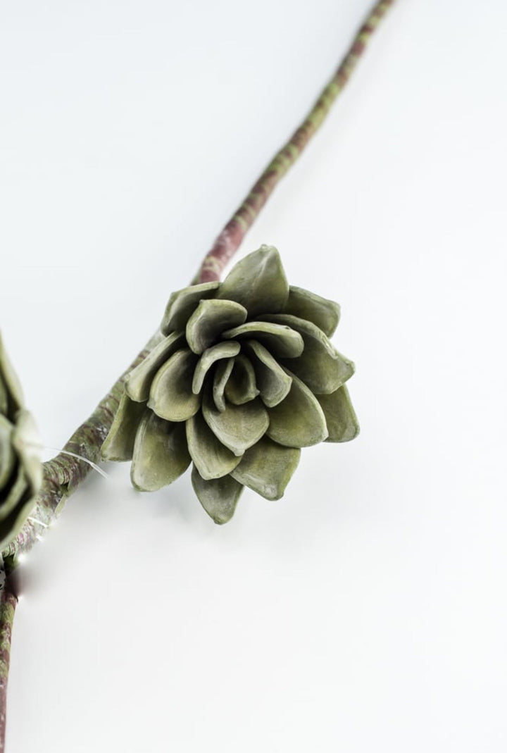 Green Echeveria Hanging - Real Touch - Greenery Market287344