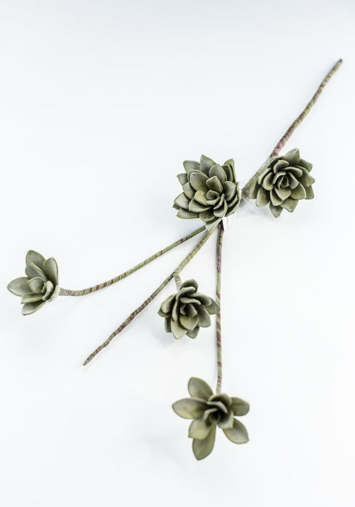 Green Echeveria Hanging - Real Touch - Greenery Market287344