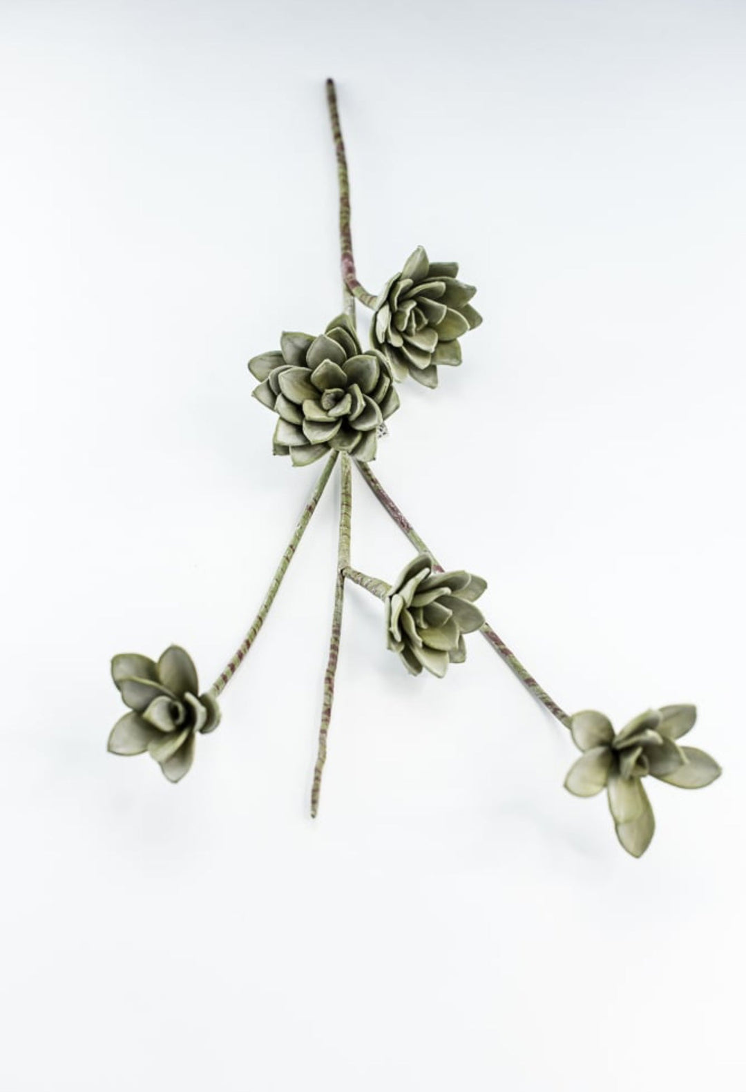 Green Echeveria Hanging - Real Touch - Greenery Market287344