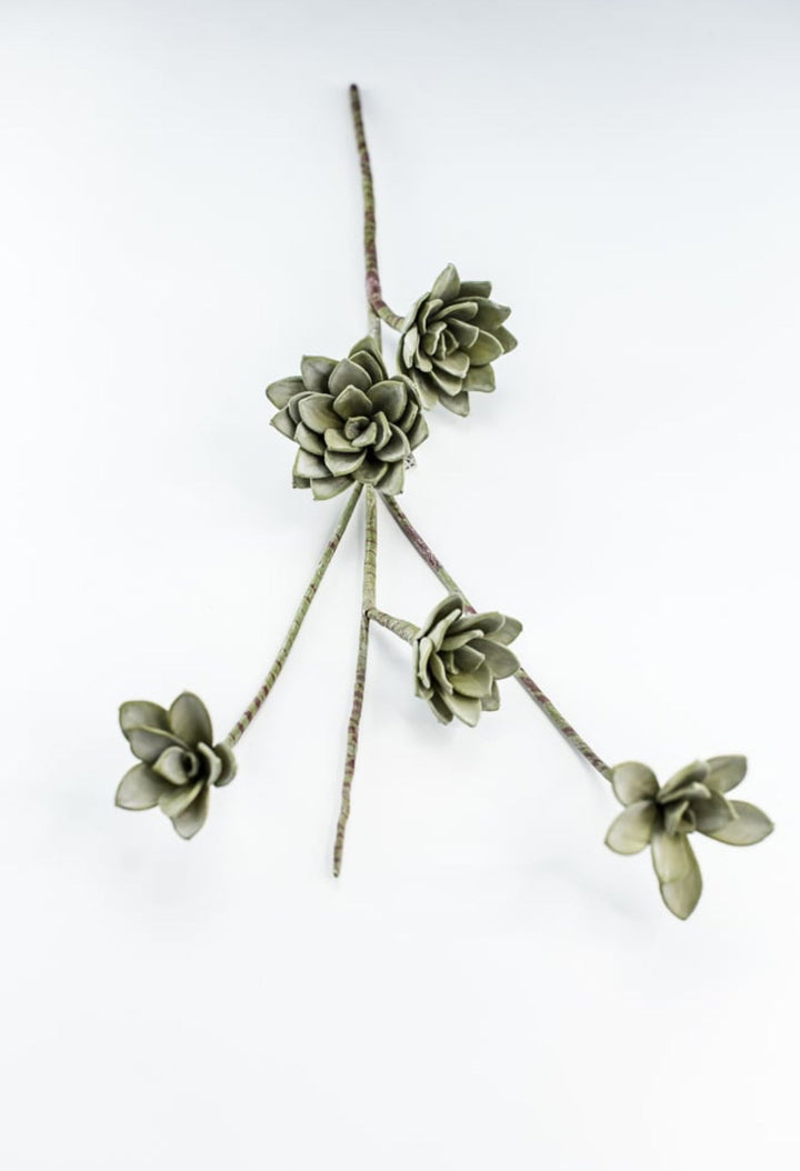 Green Echeveria Hanging - Real Touch - Greenery Market287344