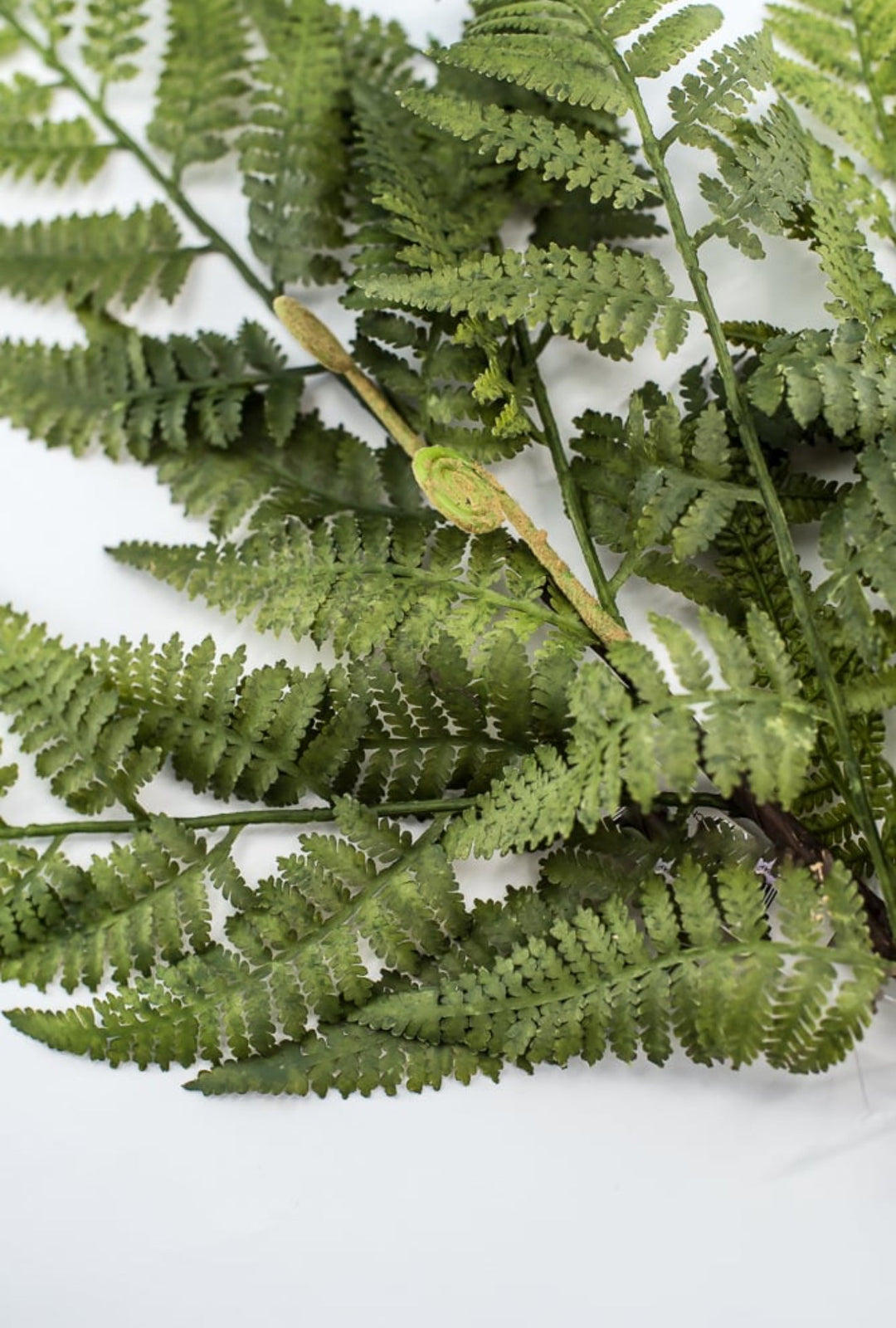 Green Fern Spray - Soft Touch - Greenery Market219832