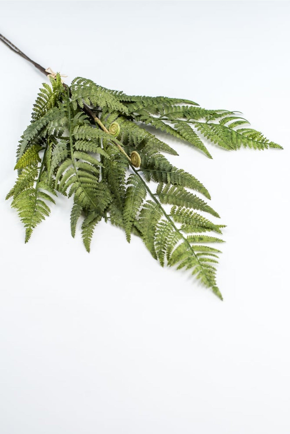 Green Fern Spray - Soft Touch - Greenery Market219832