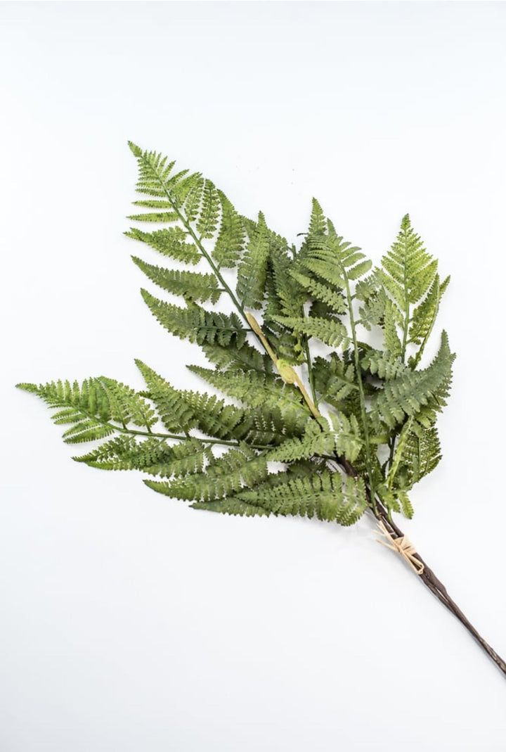 Green Fern Spray - Soft Touch - Greenery Market219832