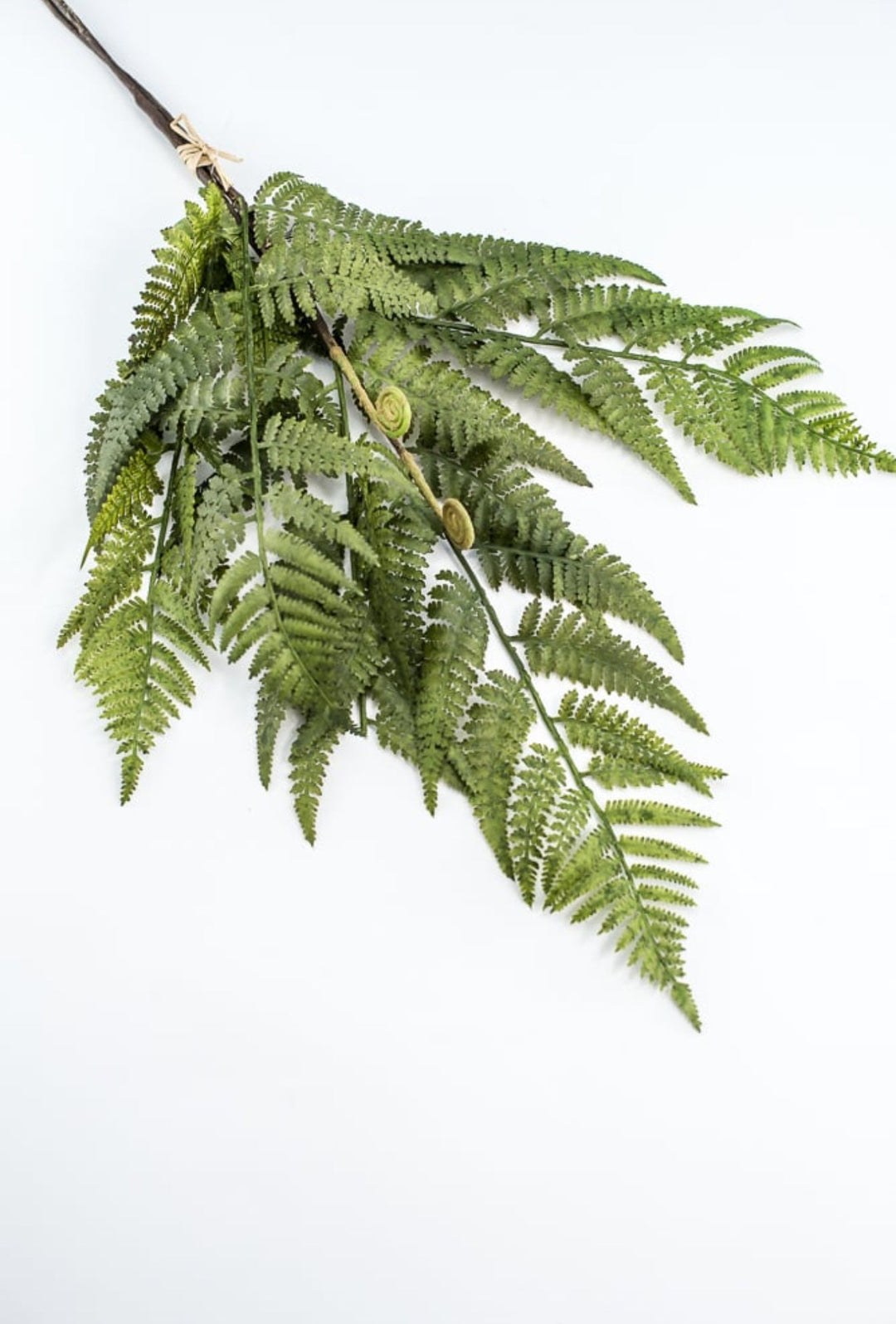 Green Fern Spray - Soft Touch - Greenery Market219832
