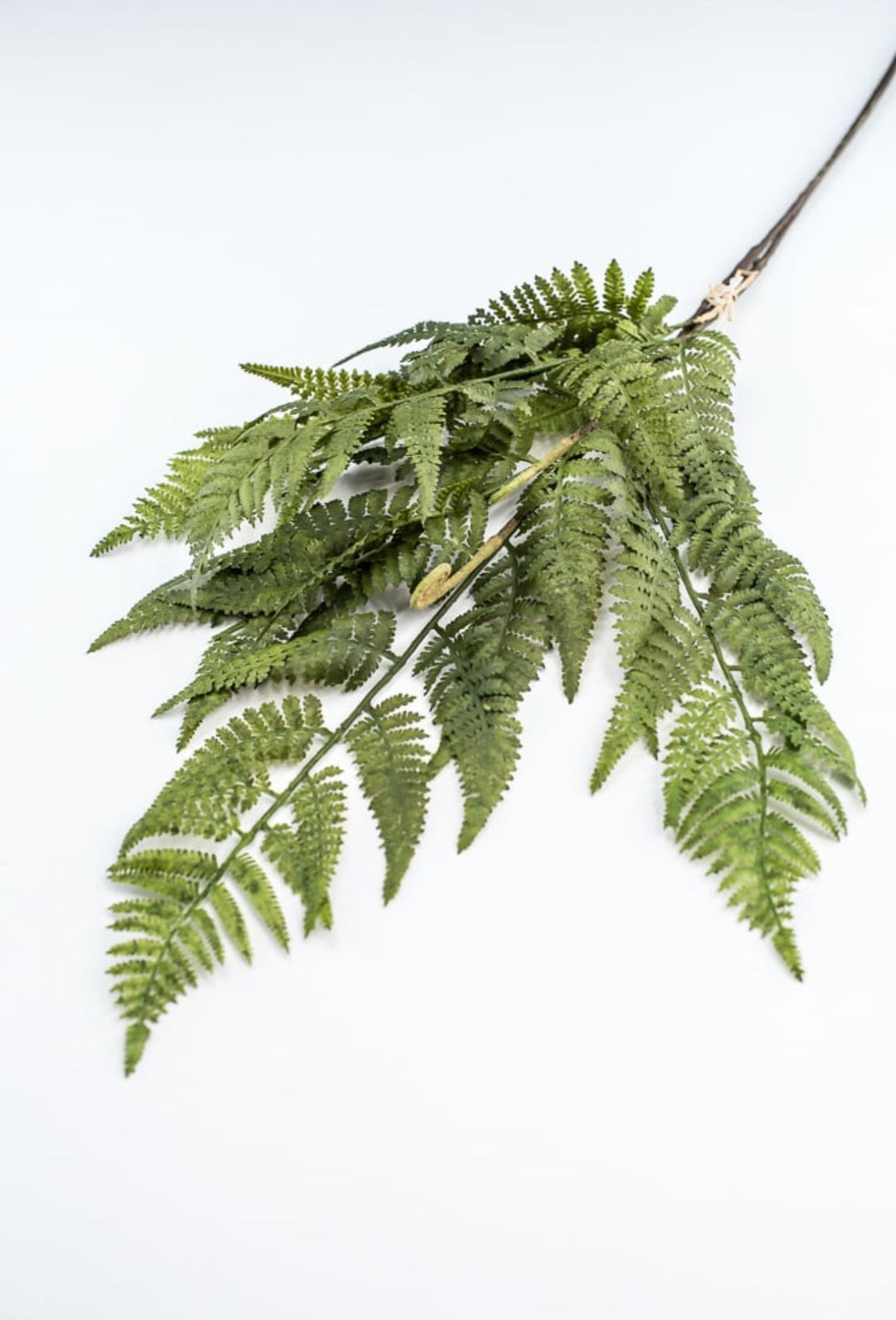 Green Fern Spray - Soft Touch - Greenery Market219832