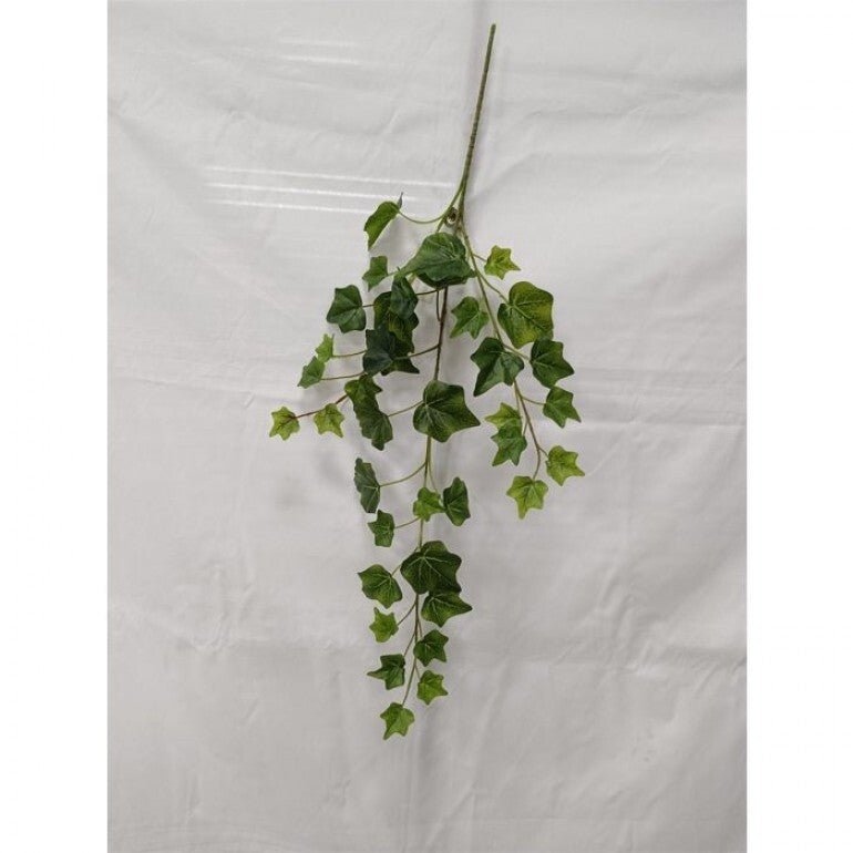 Green Ivy Spray x Bulk 6 Sprays - Greenery MarketMTF24582 TTGR x 6 sprays