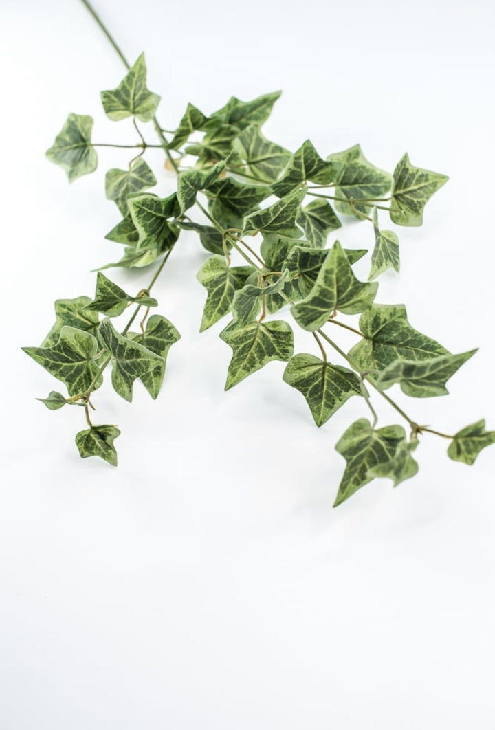 Green Ivy Spray - Greenery Market210026